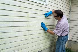 Professional Siding in Fort Dodge, IA